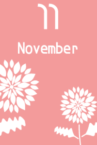 11月